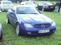 3.Mercedes Treffen Harsewinkel 2004 - Gloiner