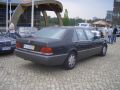 Mercedestuner-Treffen Hannover 2007 - Petzer