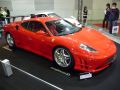 Tokyo Auto Salon 2009 - Brovning