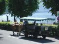 17.MB-Treff.de Treffen 2014 in Strobl am Wolfgangssee - Jrgen W. aus P.