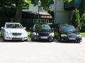 17.MB-Treff.de Treffen 2014 in Strobl am Wolfgangssee - Mr.Benz