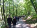 20.MB-Treff.de Treffen 2015 in Pirmasens - Brovning