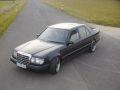 GRIZZLY - 300D (w124)