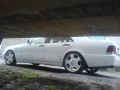 white-shark-500_w140_1336.jpg