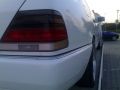 white-shark-500_w140_1344.jpg